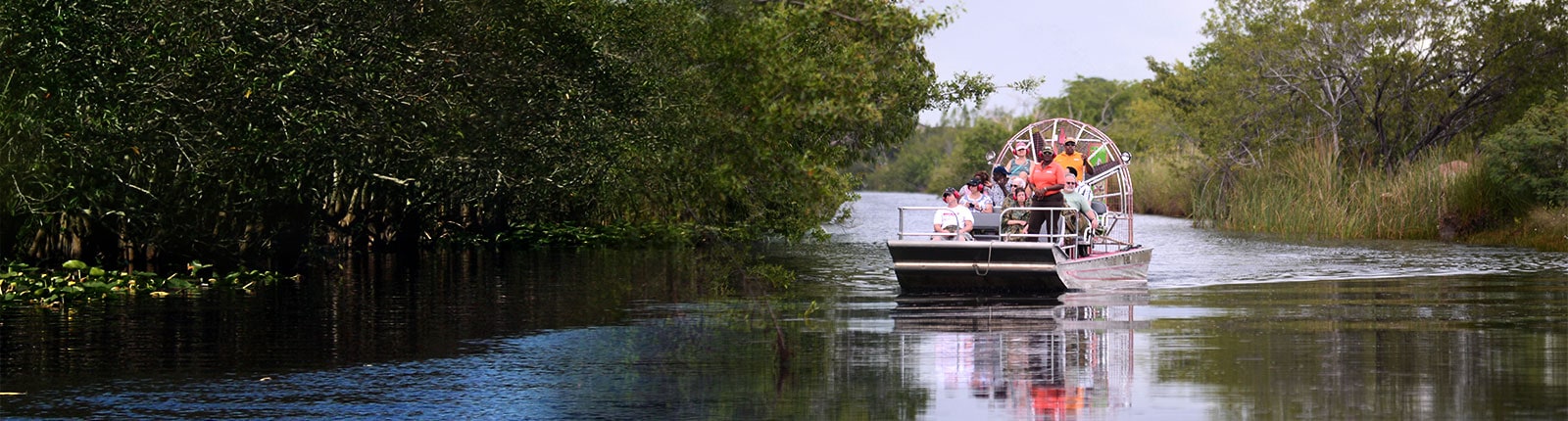 An airboat ride moving down the river in Belize