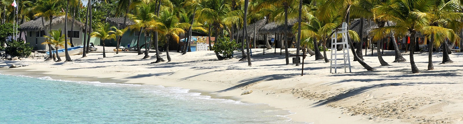 Tree-lined white sand beach in La Romana, Dominican Republic