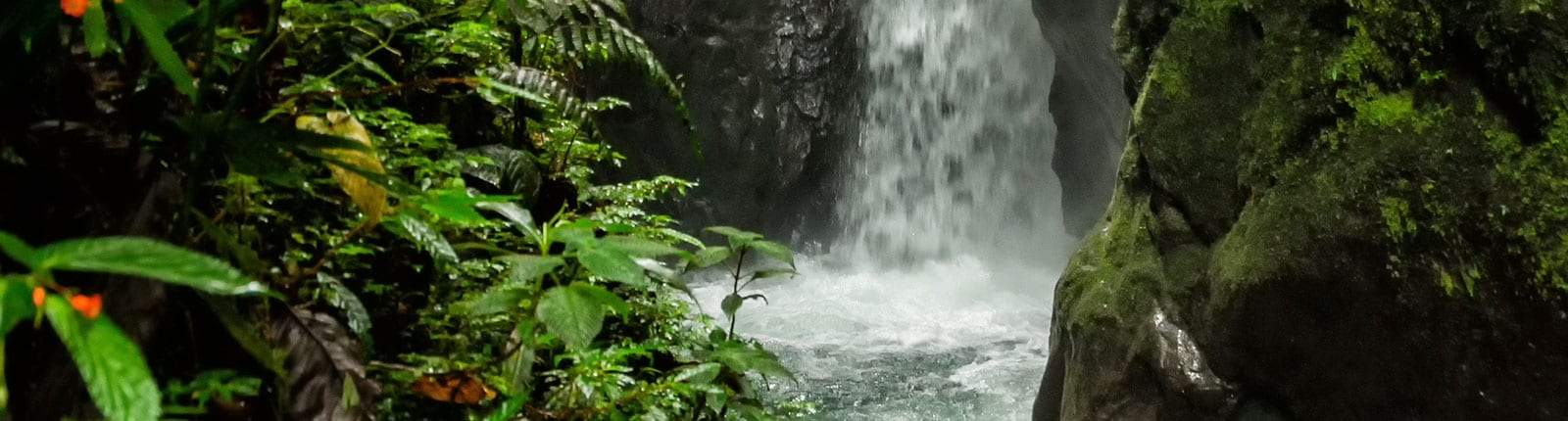 A beautiful waterfall nestled in the forest in Mahogany Bay, Isla Roatan