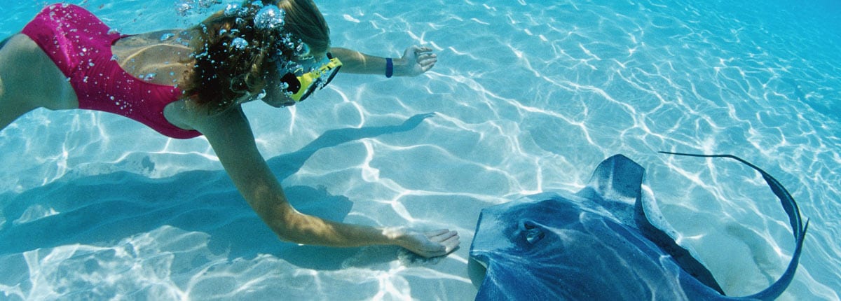 woman snorkeling with stingray