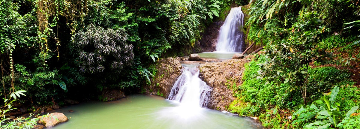 explore waterfalls in the jungles of grenada
