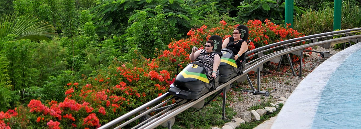 take a wild ride on a jamacian bobsled 