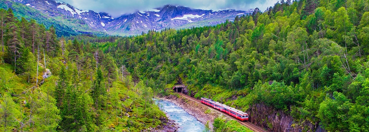 train ride through the mountains in bergen, norway