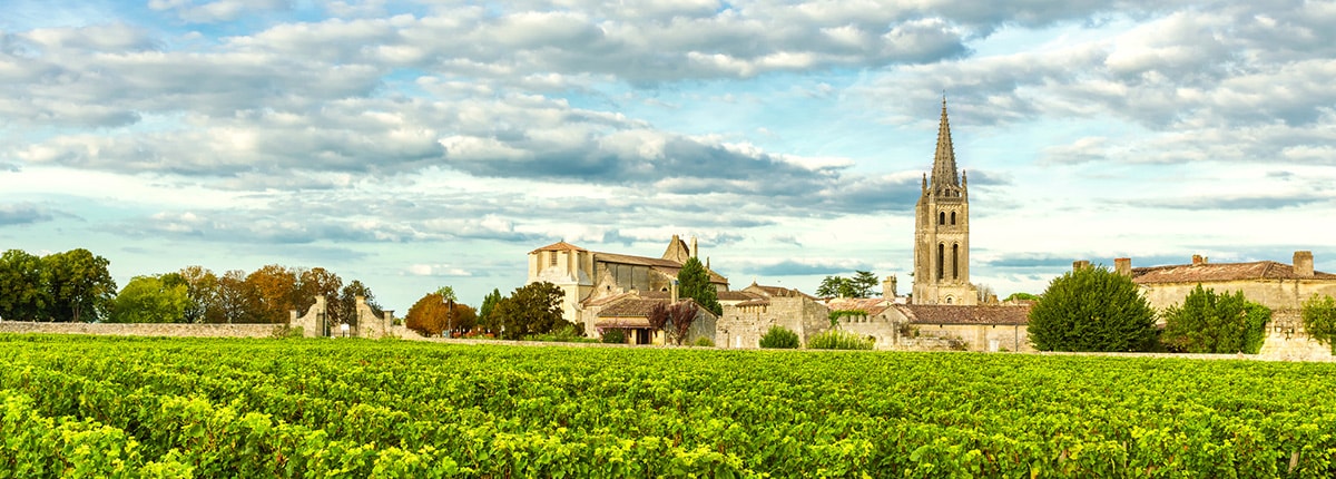 the vineyards of saint emilion, bordeaux with a castle in the background