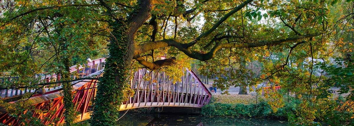 bridge over canal with beautiful trees in brussels