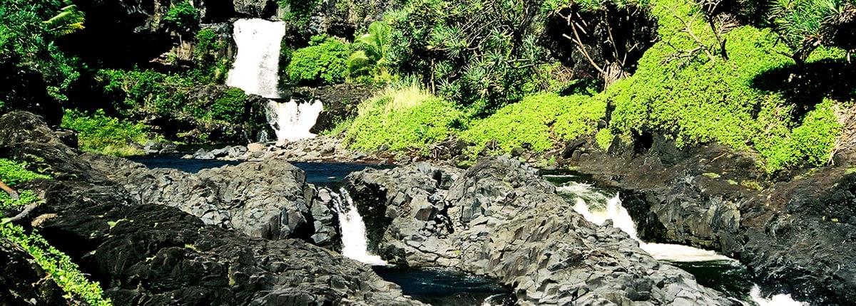 beautiful waterfall tucked away in a maui rainforest
