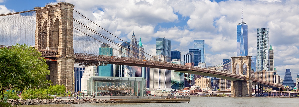 view of the brooklyn bridge and city skyline
