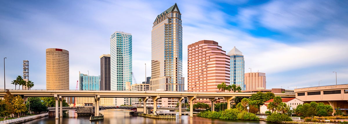 enjoy the view of the tampa skyline