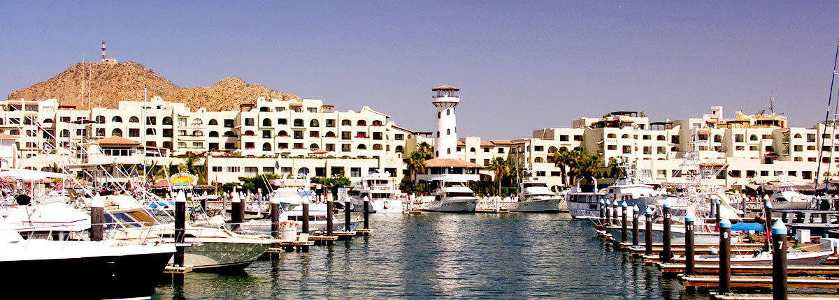 enjoy the sights of the marina in cabo san lucas