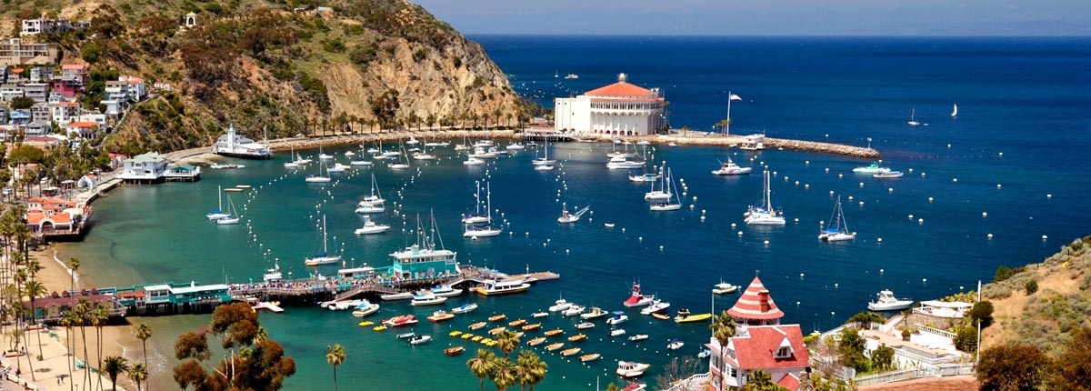 harbor view of avalon city on catalina island