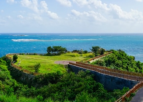 beautiful view of lush greenery at the cape chinen park in naha, okinawa 