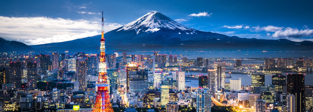 panoramic view of the city and a mountain in tokyo, japan