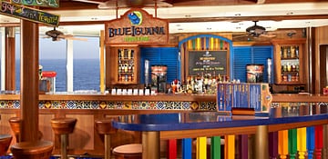 blue iguana bar on carnival cruises