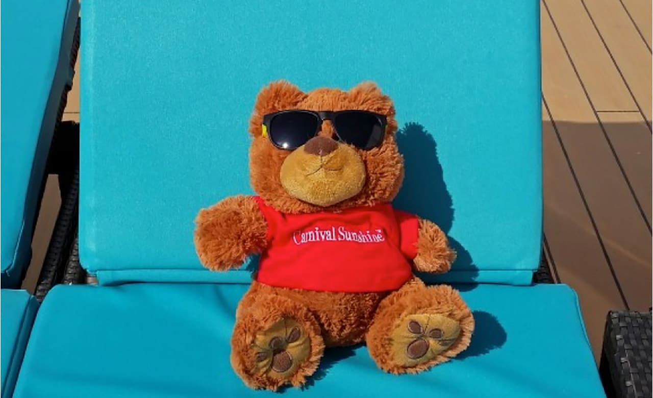 A teddy bear wearing sunglasses lays on a beach chair with a Carnival Sunshine tshirt