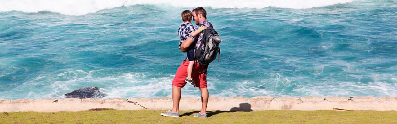 Man holds boy on a patch of grass, watching the waves of the ocean
