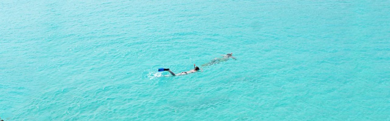 Looking down at two people snorkeling