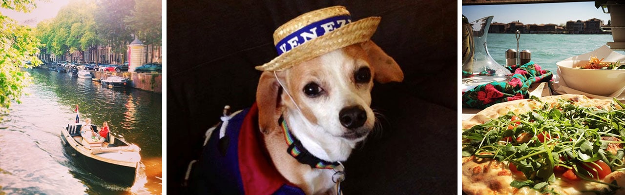 banner with images of boat rolling down stream dog wearing hat and pizza on table outside