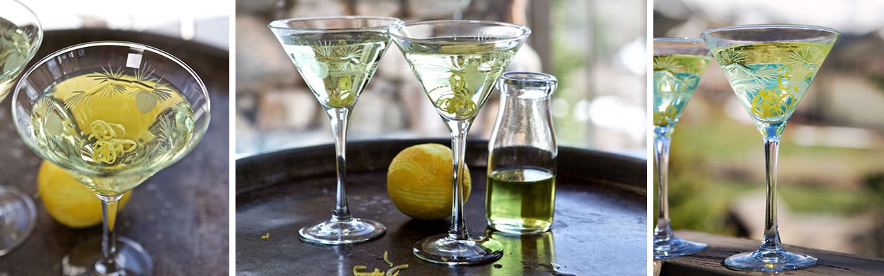 banner with images of looking down at filled martini glass two glasses with whole lemon on table glasses on railing
