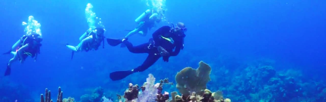 Four people underwater scuba diving in Caribbean