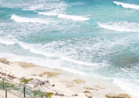7 Best Things to Do in Cozumel, Mexico