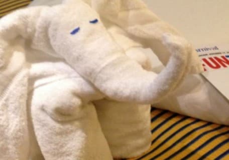 Making Towel Animals and Great Family Memories