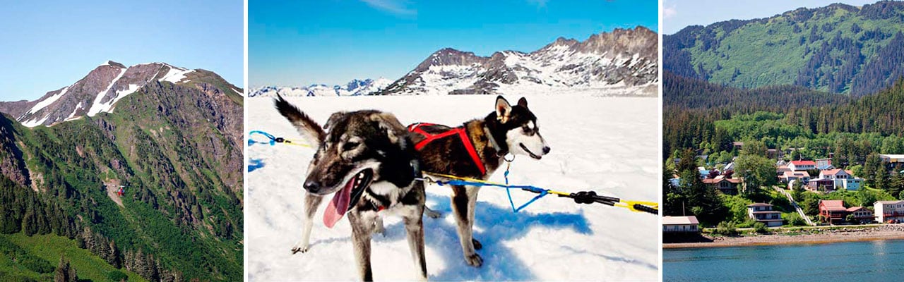 1) snow on mountain 2) two harnessed dogs 3)houses on coast