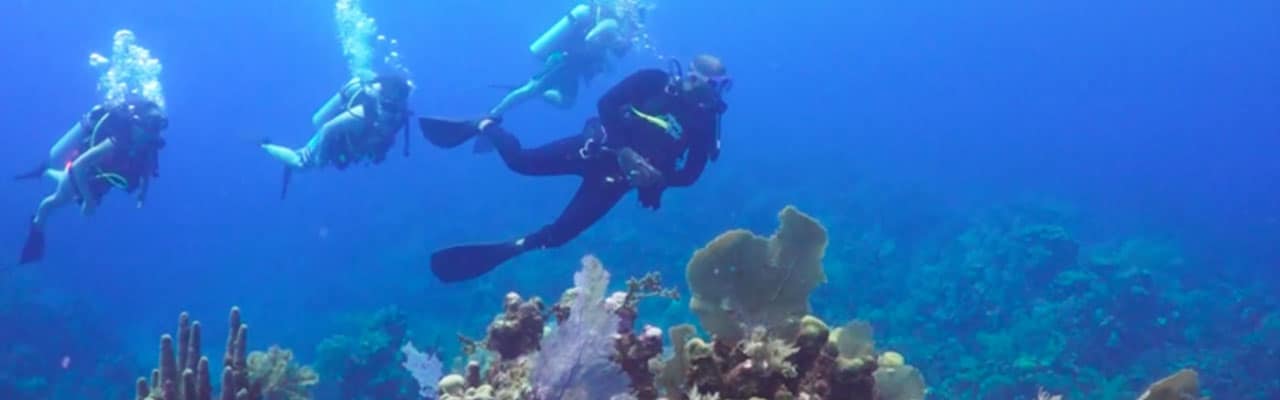 Four scuba divers underwater