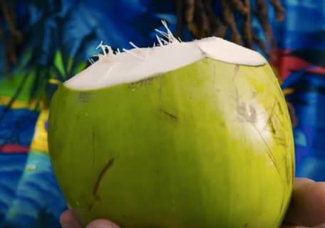 Coconuts & Bobsleds: Part 2 of my Carnival Cruise Adventure