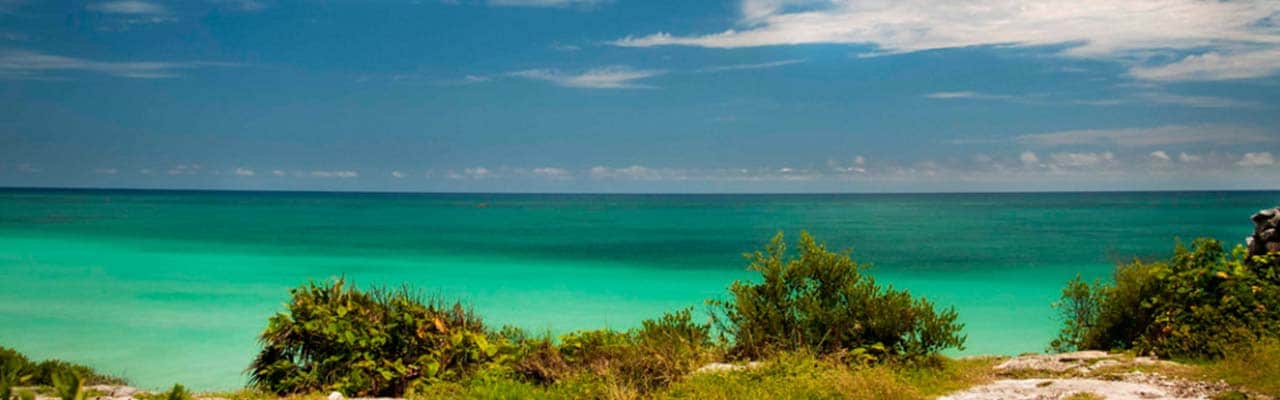 A view of an empty beach and grass on Cozumel