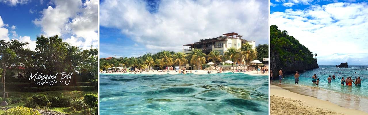 Banner image of trees in Mahogany Bay, the view from the water and the beach in Bathers gathered in the water at West Bay Beach
