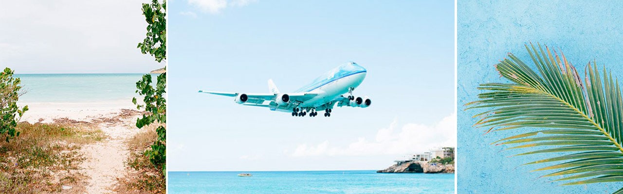 Banner image of a path to a beach, an airplane taking off over water and a palm leaf