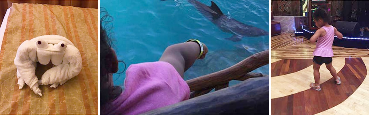 A banner image with a towel animal, a child pointing to a dolphin and a child dancing on the ship