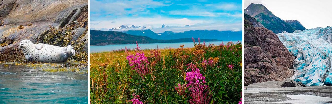 banner of images from Skagway Alaska