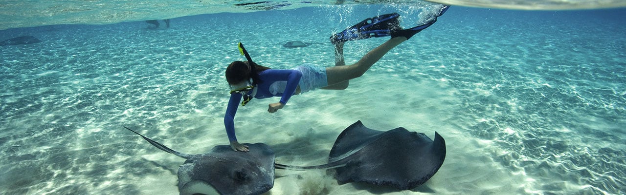 Swimming with rays in grand cayman