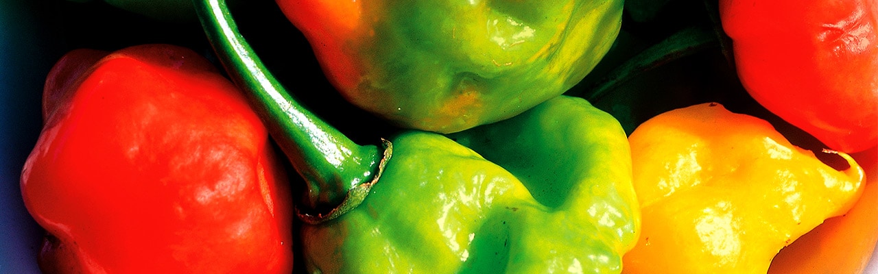 caribbean peppers