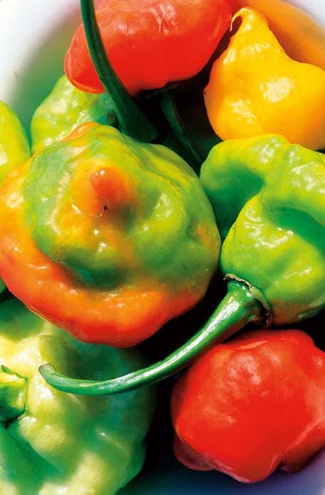 green, red, and yellow caribbean peppers