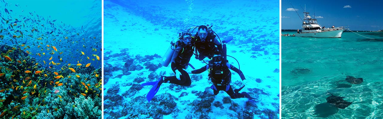 3 images of scuba Diving sites banner