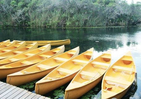 Epic Shore Excursion in Mexico