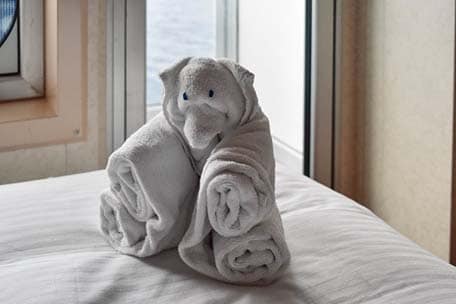 Towel Animals on Carnival