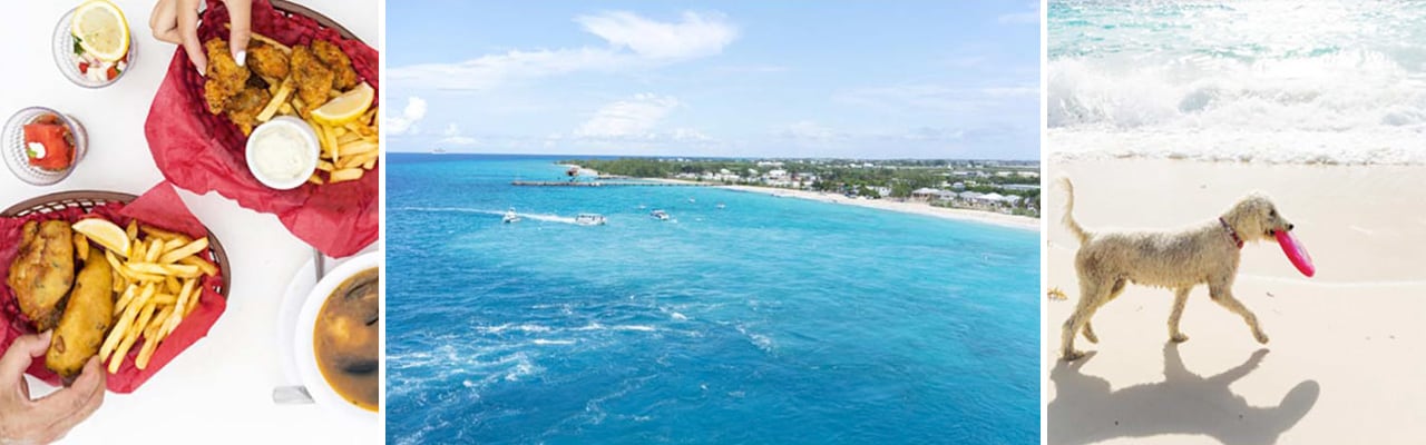 Banner with 3 images: 2 baskets of fried fish, Grand Turk Ocean and dog on the beach with frisbee