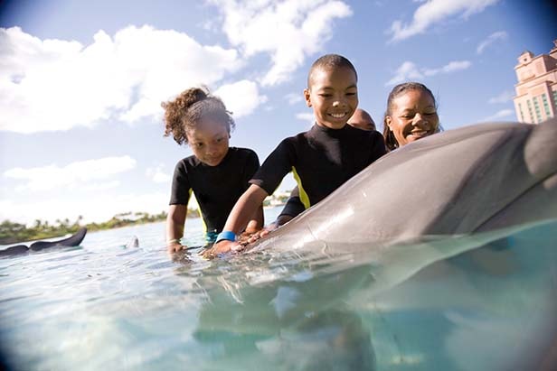two kids and a mother petting a dolphin