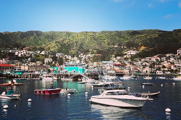 Many boats in the water with Catalina Island town behind
