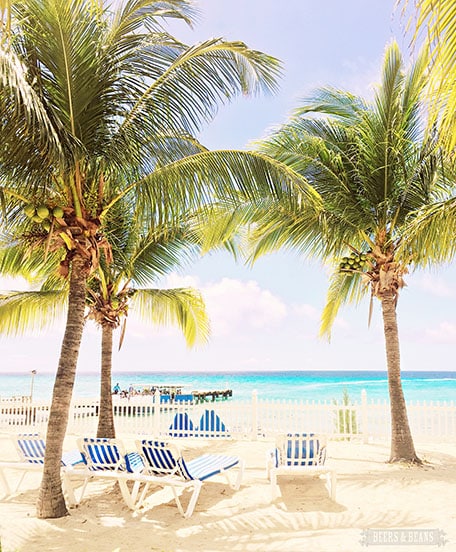 Beach with palm trees in Grand Turk