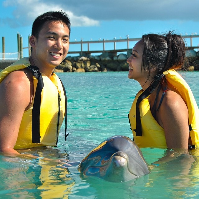 young couple meet with a dolphin