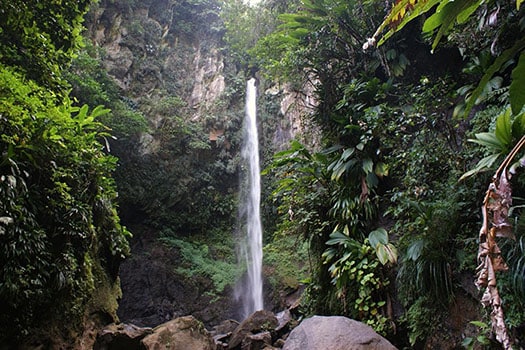 sari sari falls located in trois pitons national park in dominica
