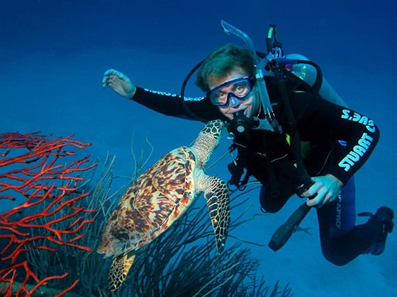 man scuba diving in nassau as a turtle approaches his face