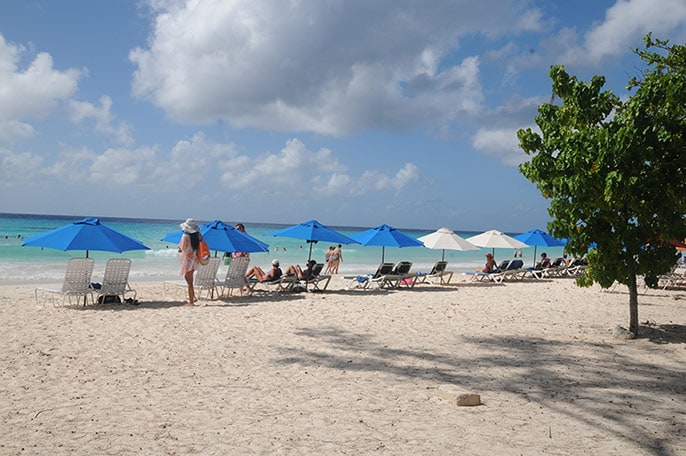 chairs and umbrellas lined up on a south coast beach in Barbados as people enjoy the sun
