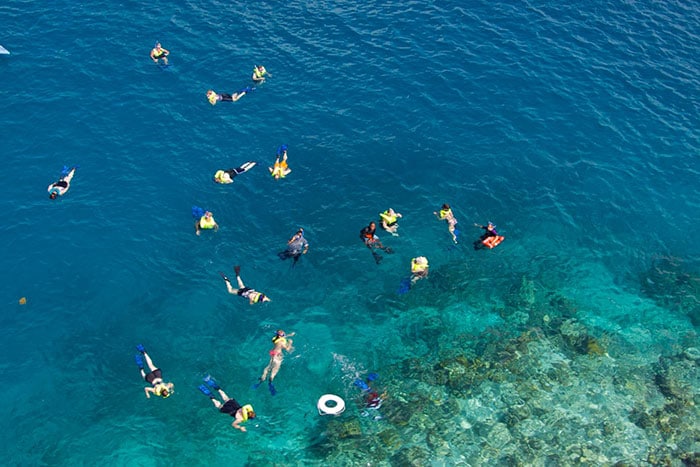 group of people snorkeling among the barrier reef in belize