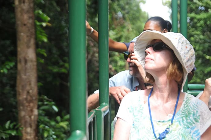 woman looking at st lucia’s rainforest during on an aerial tram