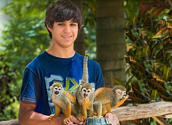 boy posing with 3 squirrel monkeys as they eat some snacks from the boys hand